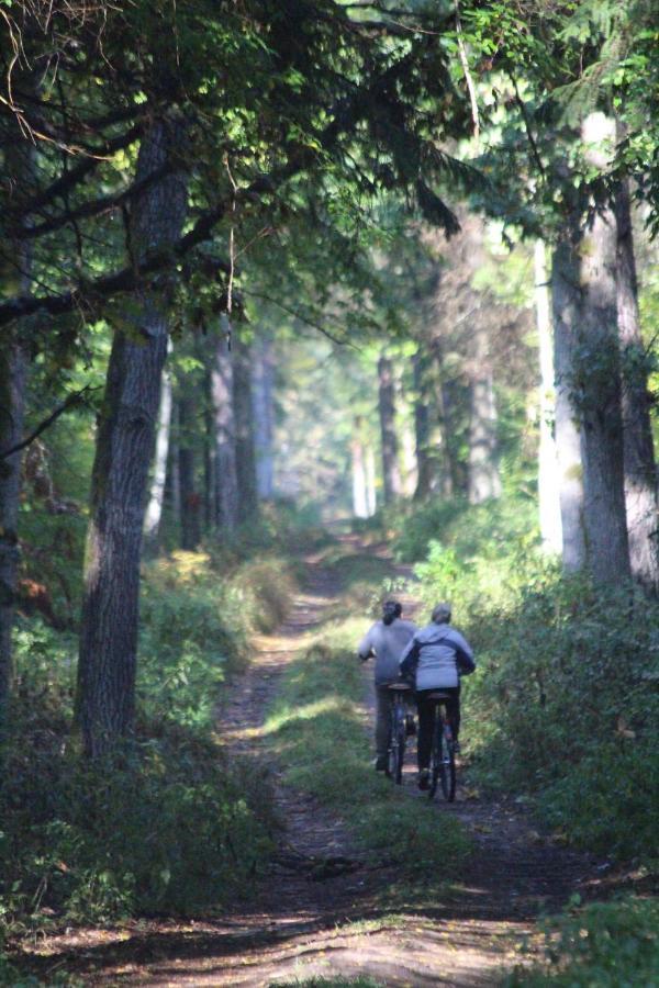 Wejmutka, Bialowieza Appartement Buitenkant foto